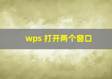 wps 打开两个窗口